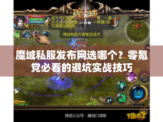 魔域私服发布网选哪个？零氪党必看的避坑实战技巧