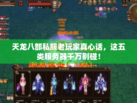 天龙八部私服老玩家真心话,这五类服务器千万别碰! 天龙八部私服老玩家真心话,这五类服务器千万别碰!