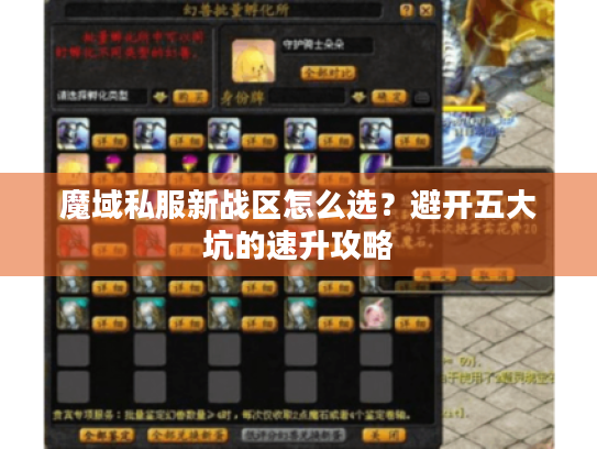 魔域私服新战区怎么选？避开五大坑的速升攻略