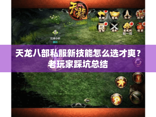 天龙八部私服新技能怎么选才爽?老玩家踩坑总结 天龙八部私服新技能怎么选才爽?老玩家踩坑总结