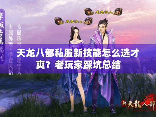 天龙八部私服新技能怎么选才爽?老玩家踩坑总结 天龙八部私服新技能怎么选才爽?老玩家踩坑总结