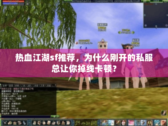 热血江湖sf推荐,为什么刚开的私服总让你掉线卡顿? 热血江湖sf推荐,为什么刚开的私服总让你掉线卡顿?