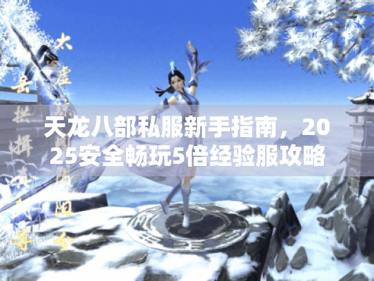 天龙八部私服新手指南,2025安全畅玩5倍经验服攻略 天龙八部私服新手指南,2025安全畅玩5倍经验服攻略