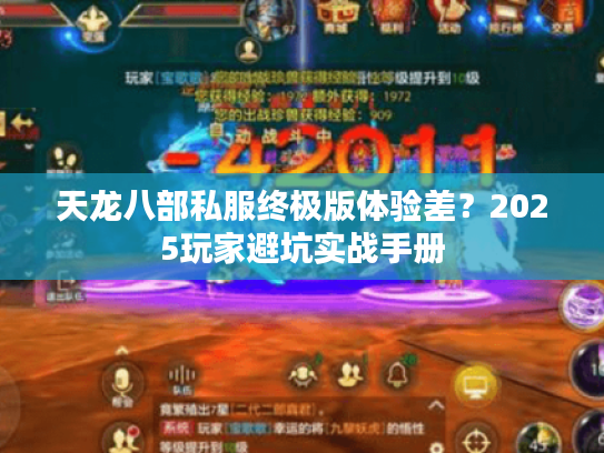 天龙八部私服终极版体验差？2025玩家避坑实战手册