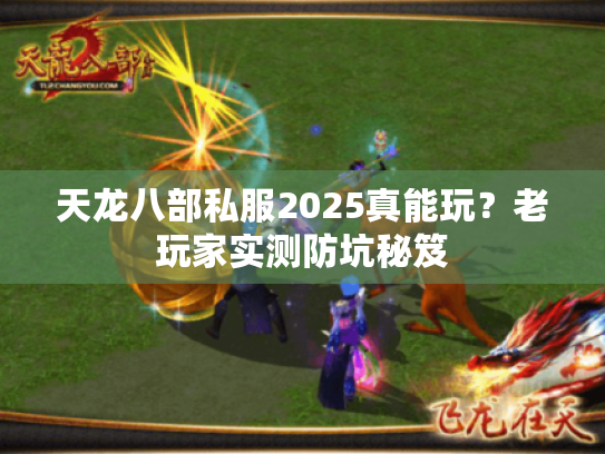 天龙八部私服2025真能玩?老玩家实测防坑秘笈 天龙八部私服2025真能玩?老玩家实测防坑秘笈