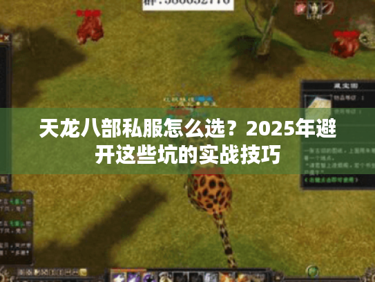 天龙八部私服怎么选?2025年避开这些坑的实战技巧 天龙八部私服怎么选?2025年避开这些坑的实战技巧