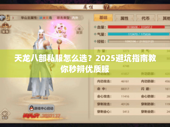 天龙八部私服怎么选?2025避坑指南教你秒辨优质服 天龙八部私服怎么选?2025避坑指南教你秒辨优质服