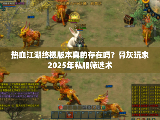 热血江湖终极版本真的存在吗？骨灰玩家2025年私服筛选术