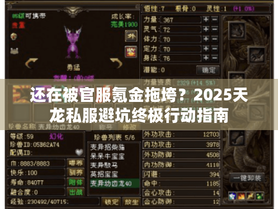 还在被官服氪金拖垮?2025天龙私服避坑终极行动指南 还在被官服氪金拖垮?2025天龙私服避坑终极行动指南
