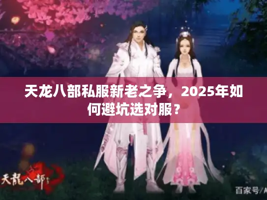 天龙八部私服新老之争，2025年如何避坑选对服？