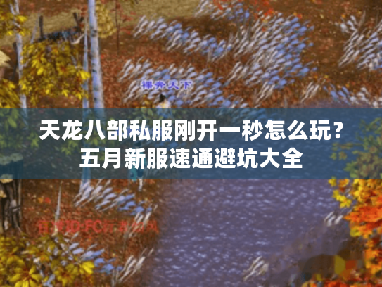 天龙八部私服刚开一秒怎么玩？五月新服速通避坑大全