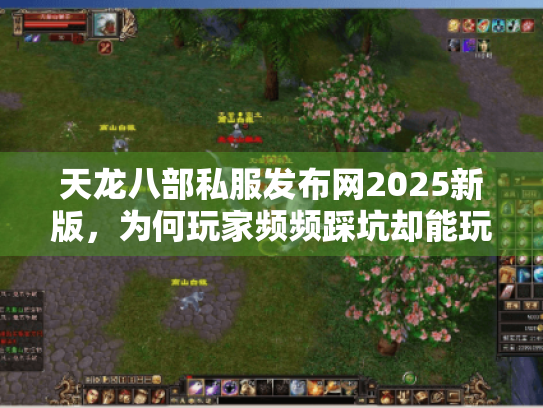 天龙八部私服发布网2025新版，为何玩家频频踩坑却能玩到顶级SF？