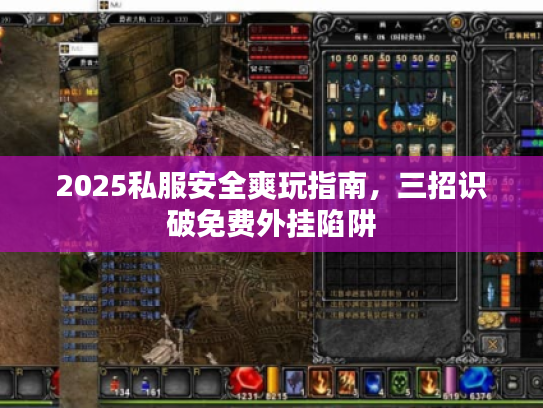 2025私服安全爽玩指南，三招识破免费外挂陷阱