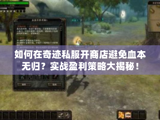 如何在奇迹私服开商店避免血本无归?实战盈利策略大揭秘! 如何在奇迹私服开商店避免血本无归?实战盈利策略大揭秘!