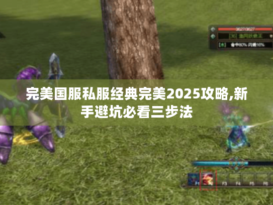 完美国服私服经典完美2025攻略,新手避坑必看三步法 完美国服私服经典完美2025攻略,新手避坑必看三步法