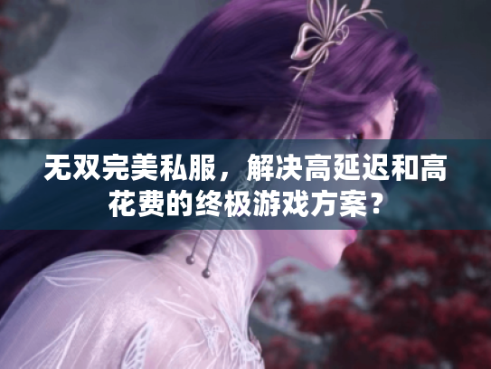 无双完美私服，解决高延迟和高花费的终极游戏方案？