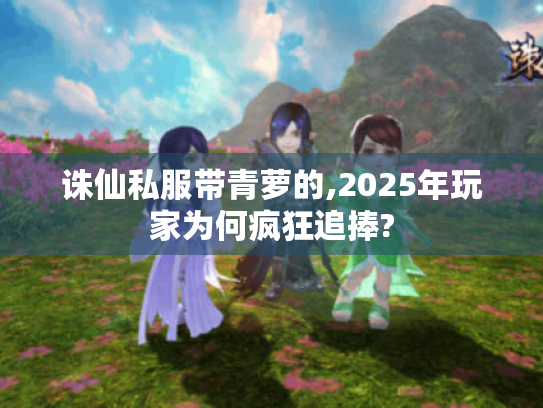 诛仙私服带青萝的,2025年玩家为何疯狂追捧? 诛仙私服带青萝的,2025年玩家为何疯狂追捧?