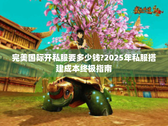 完美国际开私服要多少钱?2025年私服搭建成本终极指南 完美国际开私服要多少钱?2025年私服搭建成本终极指南