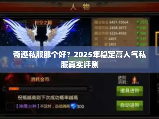 奇迹私服那个好？2025年稳定高人气私服真实评测