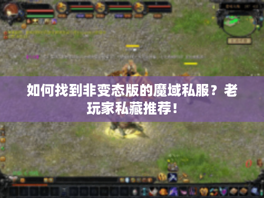 如何找到非变态版的魔域私服？老玩家私藏推荐！