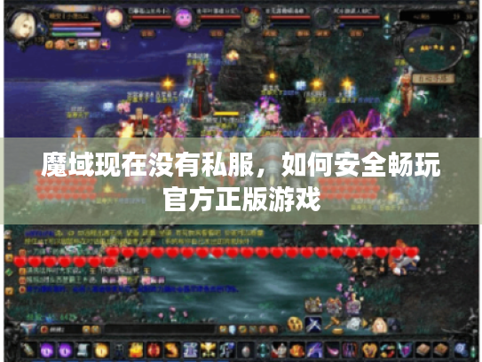 魔域现在没有私服,如何安全畅玩官方正版游戏 魔域现在没有私服,如何安全畅玩官方正版游戏