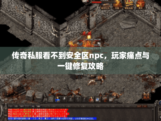 传奇私服看不到安全区npc,玩家痛点与一键修复攻略 传奇私服看不到安全区npc,玩家痛点与一键修复攻略