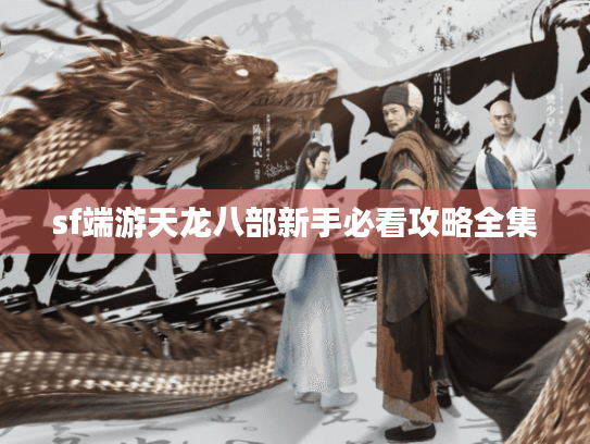 sf端游天龙八部新手必看攻略全集 sf端游天龙八部新手必看攻略全集