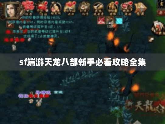 sf端游天龙八部新手必看攻略全集 sf端游天龙八部新手必看攻略全集
