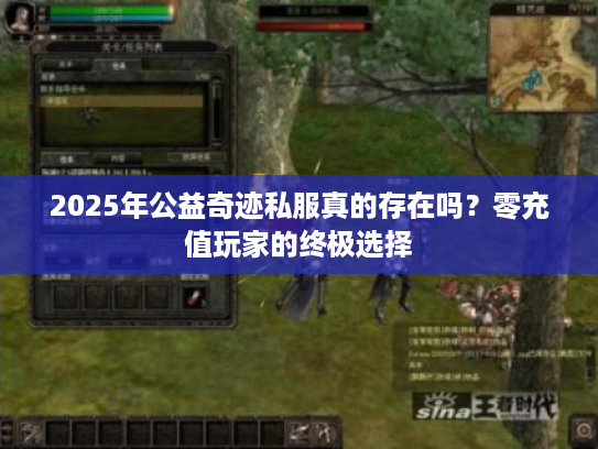 2025年公益奇迹私服真的存在吗？零充值玩家的终极选择