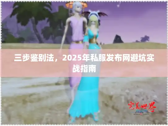 三步鉴别法，2025年私服发布网避坑实战指南