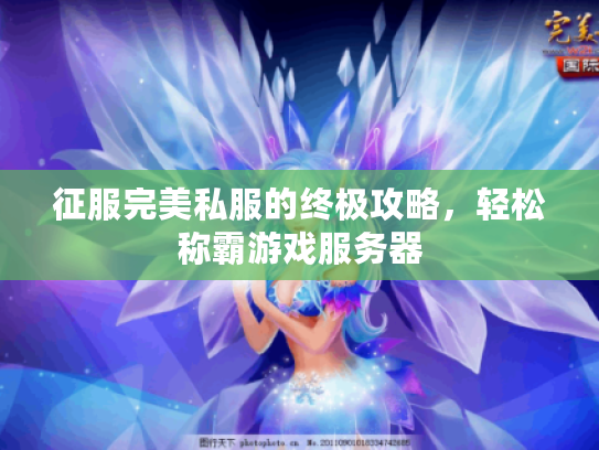 征服完美私服的终极攻略，轻松称霸游戏服务器