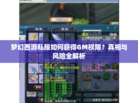 梦幻西游私服如何获得GM权限？真相与风险全解析