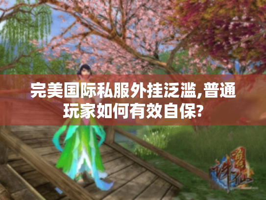 完美国际私服外挂泛滥,普通玩家如何有效自保?
