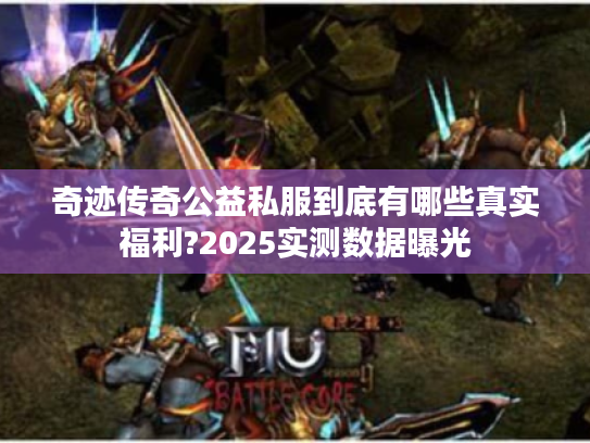 奇迹传奇公益私服到底有哪些真实福利?2025实测数据曝光 奇迹传奇公益私服到底有哪些真实福利?2025实测数据曝光