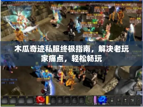 木瓜奇迹私服终极指南，解决老玩家痛点，轻松畅玩