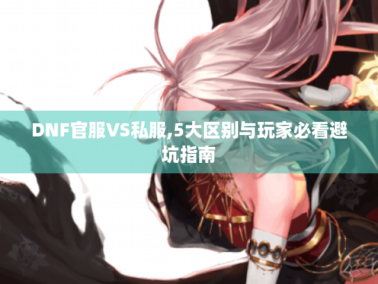DNF官服VS私服,5大区别与玩家必看避坑指南 DNF官服VS私服,5大区别与玩家必看避坑指南