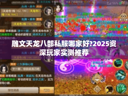 雕文天龙八部私服哪家好?2025资深玩家实测推荐 雕文天龙八部私服哪家好?2025资深玩家实测推荐