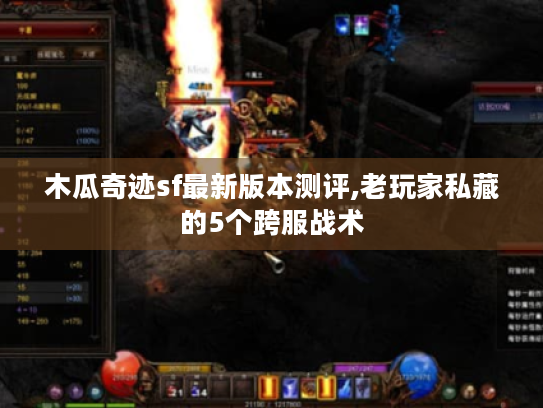 木瓜奇迹sf最新版本测评,老玩家私藏的5个跨服战术