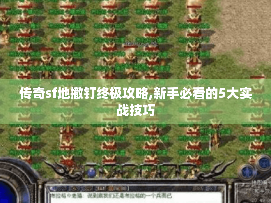 传奇sf地撤钉终极攻略,新手必看的5大实战技巧 传奇sf地撤钉终极攻略,新手必看的5大实战技巧
