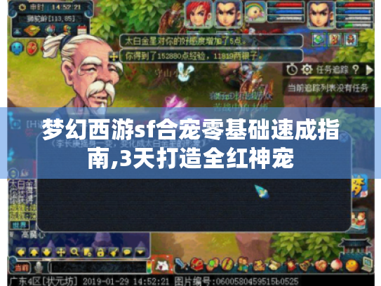 梦幻西游sf合宠零基础速成指南,3天打造全红神宠