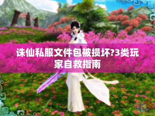 诛仙私服文件包被损坏?3类玩家自救指南 诛仙私服文件包被损坏?3类玩家自救指南