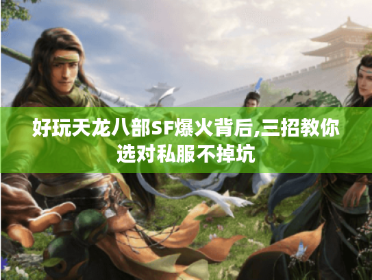 好玩天龙八部SF爆火背后,三招教你选对私服不掉坑 好玩天龙八部SF爆火背后,三招教你选对私服不掉坑