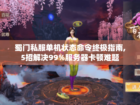 蜀门私服单机状态命令终极指南,5招解决99%服务器卡顿难题