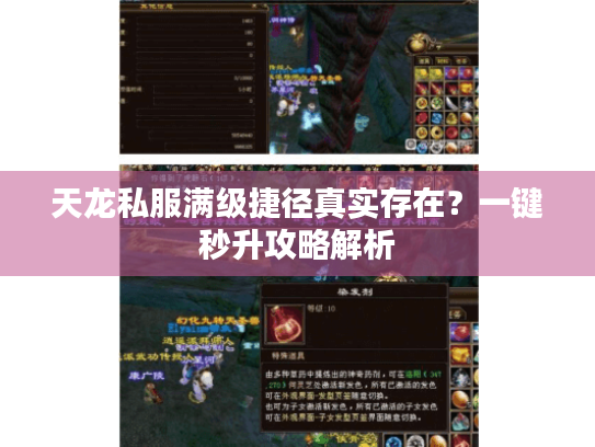 天龙私服满级捷径真实存在?一键秒升攻略解析 天龙私服满级捷径真实存在?一键秒升攻略解析
