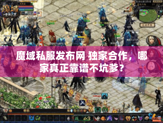 魔域私服发布网 独家合作,哪家真正靠谱不坑爹? 魔域私服发布网 独家合作,哪家真正靠谱不坑爹?