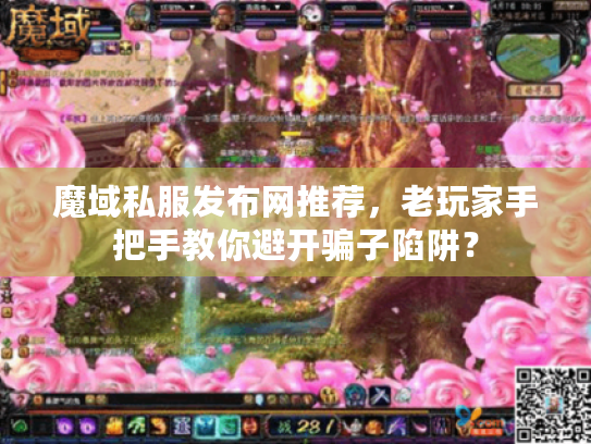 魔域私服发布网推荐，老玩家手把手教你避开骗子陷阱？