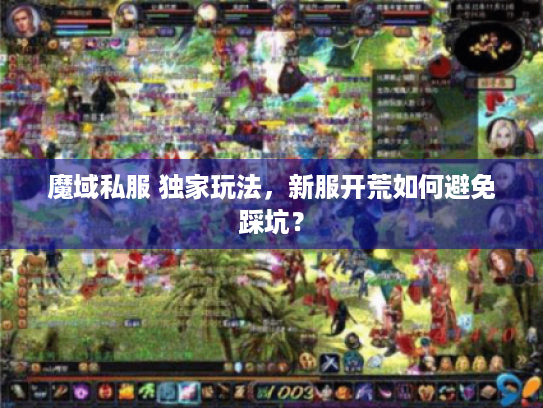 魔域私服 独家玩法,新服开荒如何避免踩坑? 魔域私服 独家玩法,新服开荒如何避免踩坑?