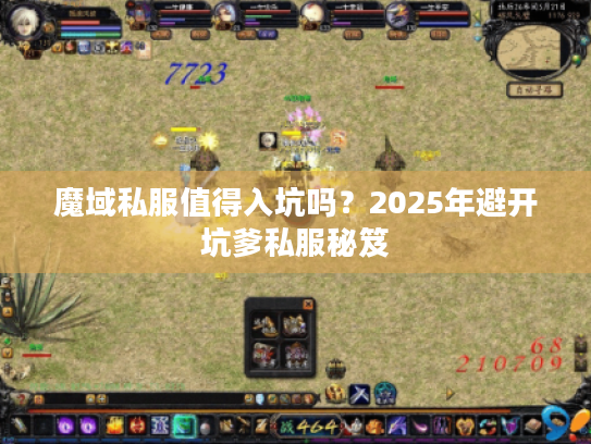 魔域私服值得入坑吗？2025年避开坑爹私服秘笈