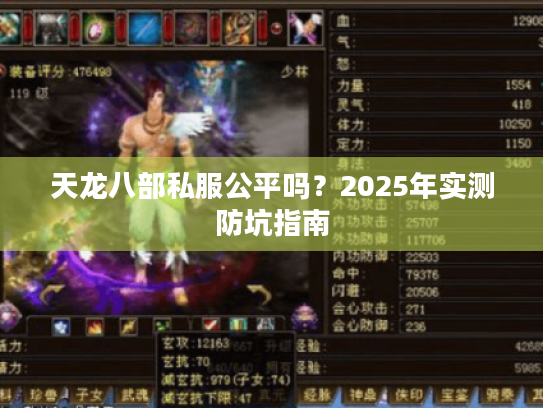 天龙八部私服公平吗?2025年实测防坑指南 天龙八部私服公平吗?2025年实测防坑指南