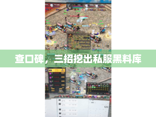 查口碑,三招挖出私服黑料库 查口碑,三招挖出私服黑料库